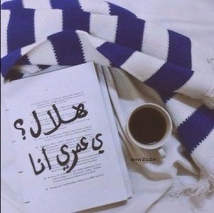 دواسسر م نحط بايوا .