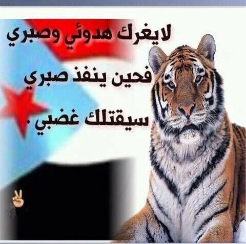 amadaldali3's profile picture. ‏جنوبي