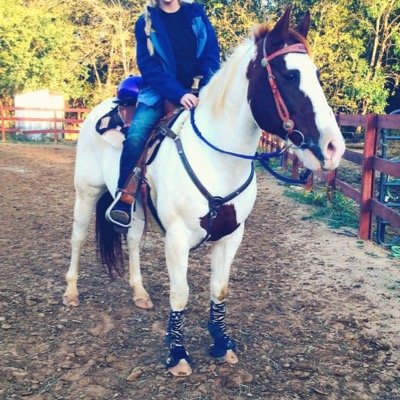 Barrels•Hunting•Fishing. Mare AQHA Paint