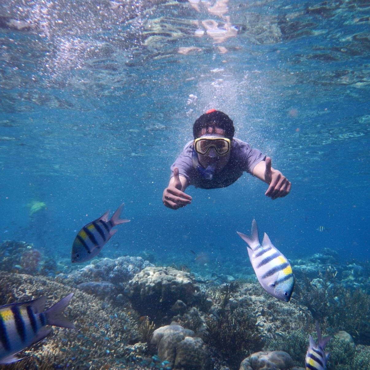 Sederhana dan apa adanya... (https://t.co/RXY1zQflaE)