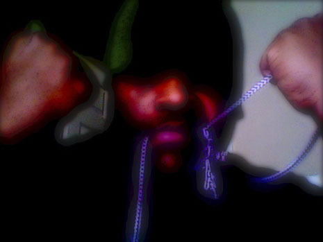 Pit_rilla1's profile picture. I'm here for O.Ne reason and 1 reason only, to get tha mu'#!%@$! Money...jus like u!!! I got family to feed and dreams to nourish to full grown successes!