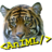 AnIML's profile image