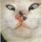 blowarovri1980's profile image