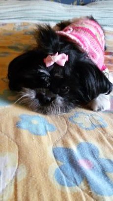 teresa_grassi's profile picture. 