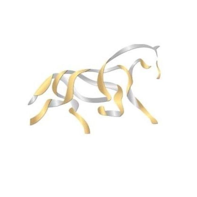 jumpingmechelen's profile picture. Flanders Christmas Jumping - Memorial Eric Wauters, 36th edition...
CSIW5* - CSI2* - CSIU25 - CSIP-W - CDI5* - CVIW - CAIW