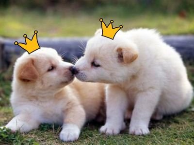 東方神起、溺愛の成人済み(腐)のトンペンです♡　宜しくお願いします♪　We are T～(*∵)人(*^ｰ^*)人(´･Ｊ･`*)
