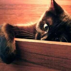 Fanilein21's profile picture. 