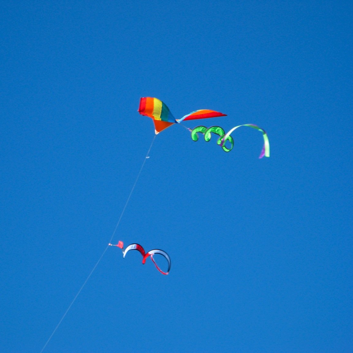 morrismaddancer's profile picture. 