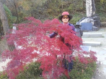 pa8074's profile picture. 추운날씨가 시작됐어요~^^