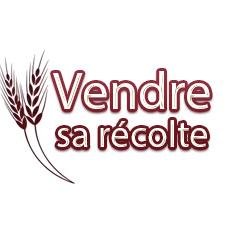 Plus que de l'information, nous analysons les marchés pour bien @vendresarecolte #Blé #Wheat #Colza #Canola #Maïs #Soja #CME #Euronext. Tendances & Performances