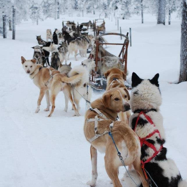 AFVDG9's profile picture. 