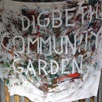 Digbeth Garden (@digbethgarden) 's Twitter Profile