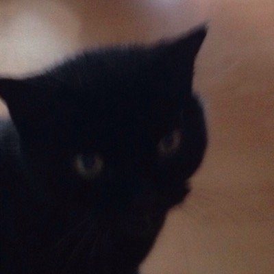 I_am_nicko's profile picture. 