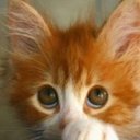 Juliette Hall - @HallJewels - Twitter