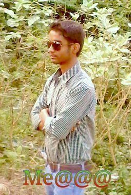 net2024's profile picture. 