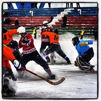 Bandy Nijmegen (@bandynijmegen) Twitter profile photo