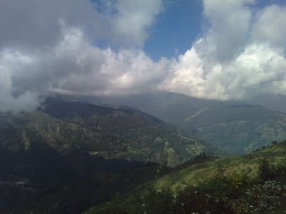 niharbose's profile picture. 