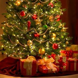 Mensajes de felicitación navideños, humor, frases, regalos, decoraciones... ¡Es Navidad!
