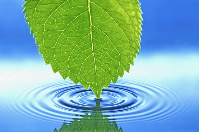 ncdshjedj8877's profile picture. Nature Calls