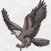 5 star digitizing (@teresabroidery) Twitter profile photo