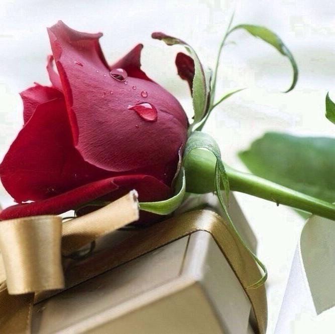 مؤلم ان نخفي ما نحتاج قوله