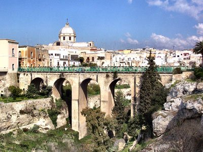 seidimassafra's profile picture. 