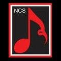 We are an educational, non-profit organization dedicated to excellence in performance and to bringing outstanding choral music to the Greater Newburyport Area.