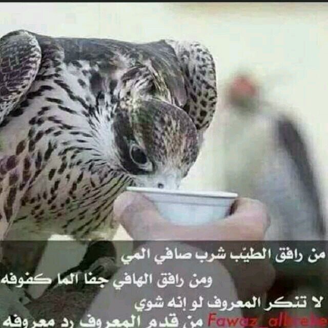 ‏‏رضاالله ثم رضاالوالدين.مهتمه بسوق اﻻسهم السعوديه .اللهم اغفرلوالدي واسكنه فسيح جنات النعيم .اللهم احفظ والدتي من كل مكروه