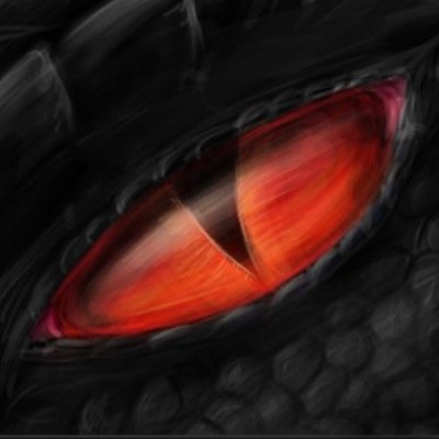 |Me and My Bro Knows Everything Abt HTTYD|Your Worst Nightmare,Prince Of Dragons|Twin Bro:@TheMonstrocity #OpenRP #Taken by:@_Wolf_Princess