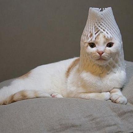 Hey there. I tweet world's funniest news every day! Do you like to see more? If so, please visit my website.