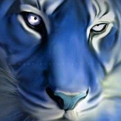 shahbazqasim22's profile picture. 