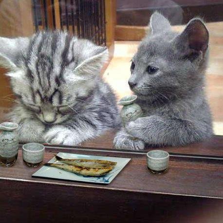 Hey there. I tweet world's funniest news every day! Do you like to see more? If so, please visit my website.