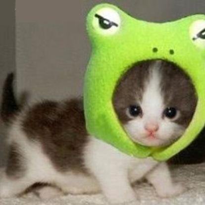 Hey there. I tweet world's funniest news every day! Do you like to see more? If so, please visit my website.