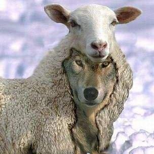 Hey there. I tweet world's funniest news every day! Do you like to see more? If so, please visit my website.