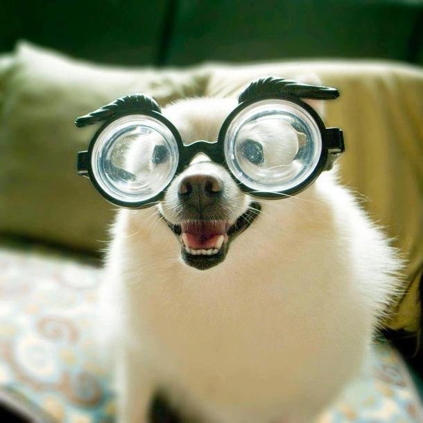 Hey there. I tweet world's funniest news every day! Do you like to see more? If so, please visit my website.