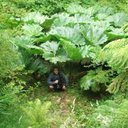 Freddy leiva - @leivafredd - Twitter