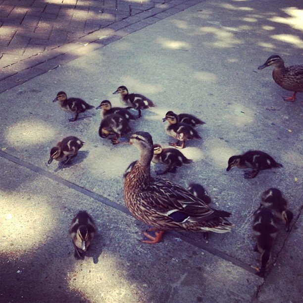 osmolarity8324's profile picture. 