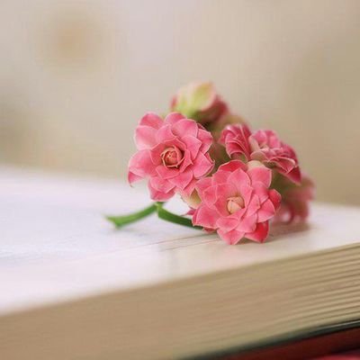 ‏. وجعلتُ آلله شـآهدآً عـلى جــرْحـكَ لِـي ..
وخـآلقي سأقـآضيك يوم القيـآمة فَ كن مستعدآ لـ حكم عـآدل لآ يظلم أحدآ ..!!