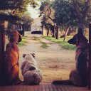 Sally - @SallyAnneStorey - Twitter