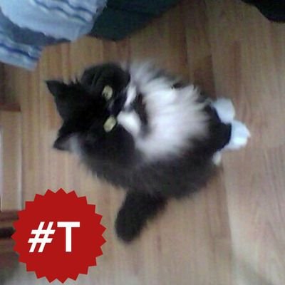 eElenaVG's profile picture. Hace mucho creia en la democracia suiza, ahora he cambiado mucho. solo creo una cosa, la mayoria no estan preparados para entenderla: todo es mentira.