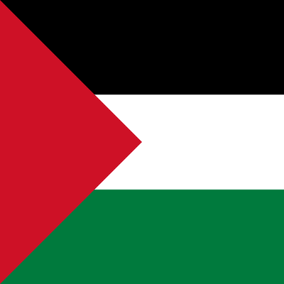 palestine Profile Picture