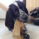 Gracie arnold - @GracieGugArnold - Twitter