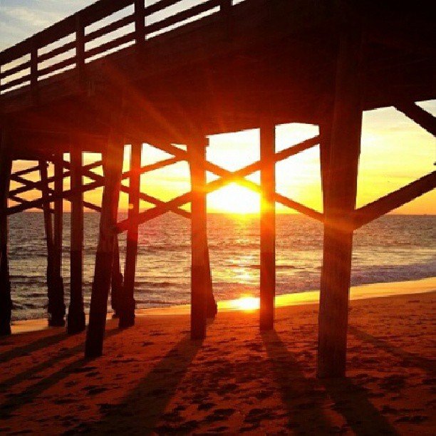 sarahowigote's profile picture. 