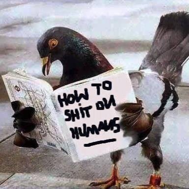 AlphaalphaBlack's profile picture. 