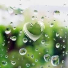 er_snm's profile picture. 