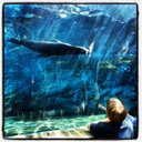 Penelope Parr - @snillor2711 - Twitter