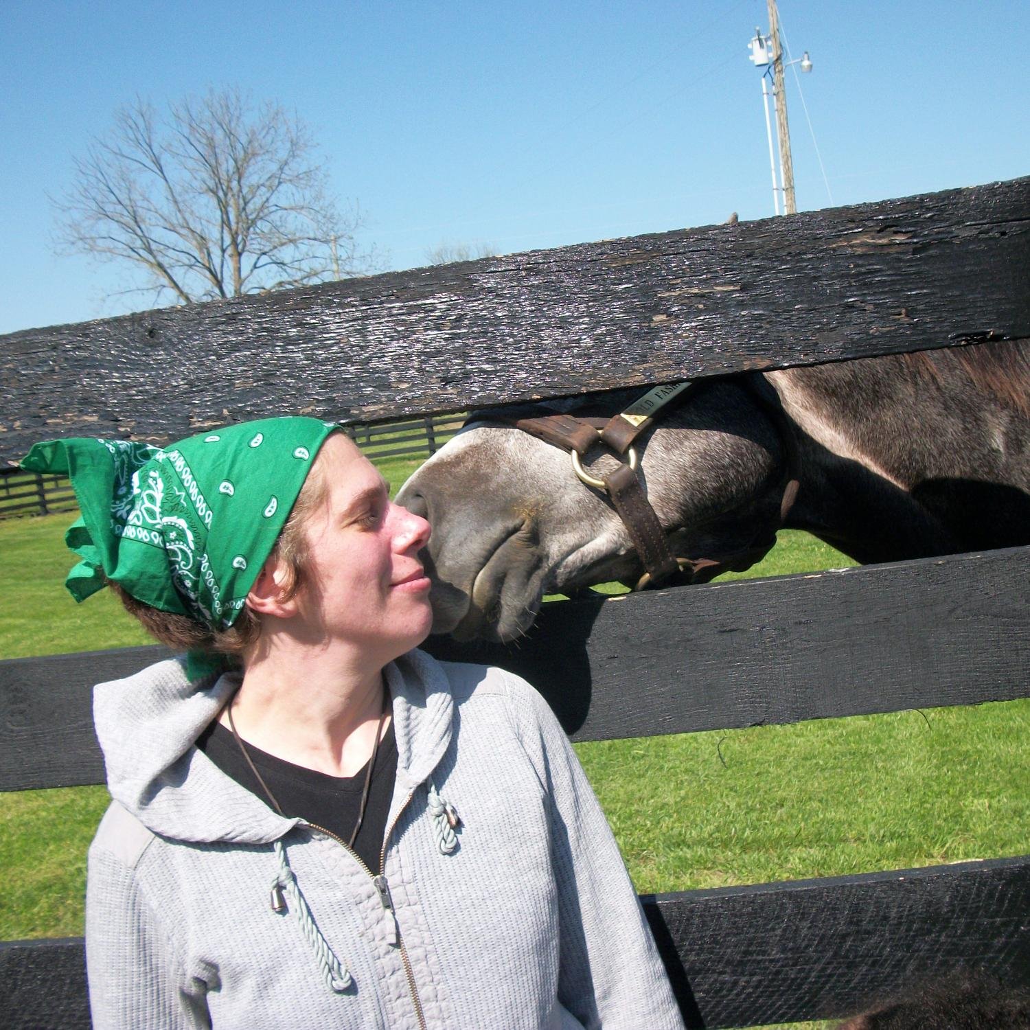 punk horselover writer freak