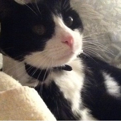 MccueBernadette's profile picture. 