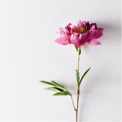 كُن للحياةِ حياة ،ابتسم، تمسّك بصديق أذكر ربّك وقت الفرح وحينَ الضّيق   