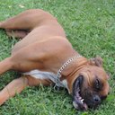 chantal tremblay - @tipied45 - Twitter